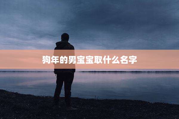 狗年的男宝宝取什么名字