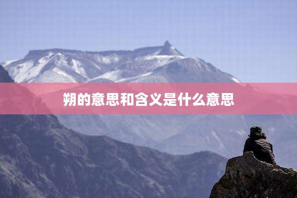 朔的意思和含义是什么意思