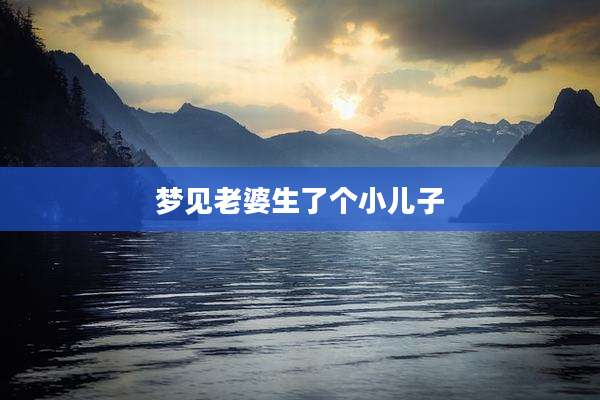 梦见老婆生了个小儿子