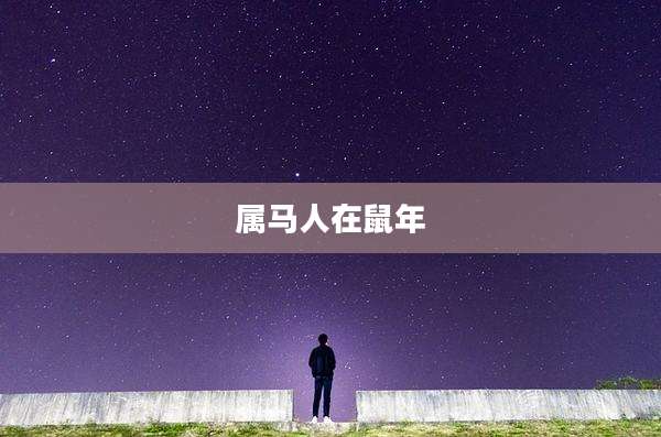 属马人在鼠年