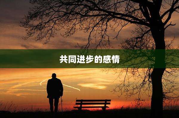 共同进步的感情
