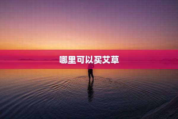 哪里可以买艾草