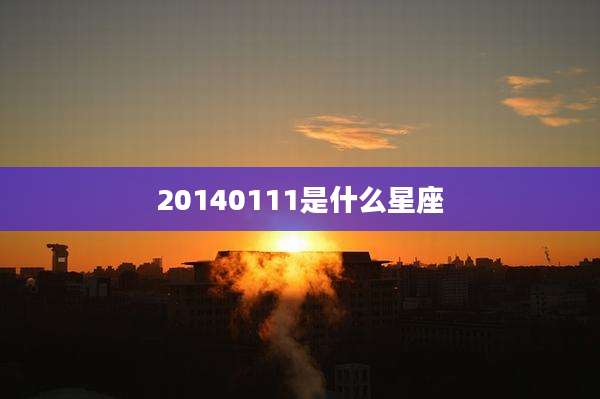 20140111是什么星座