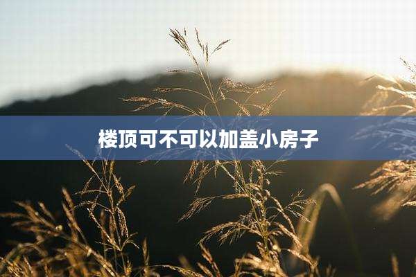 楼顶可不可以加盖小房子