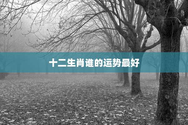 十二生肖谁的运势最好