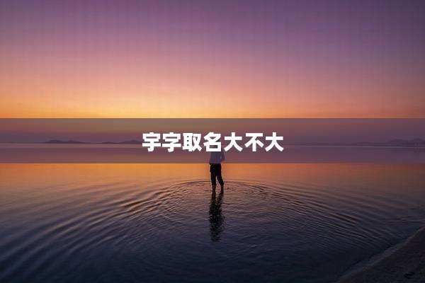 宇字取名大不大