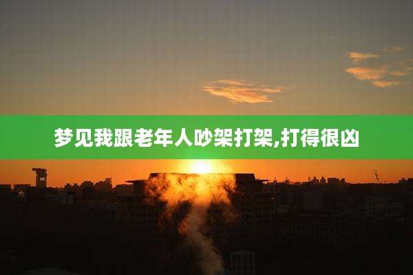 梦见我跟老年人吵架打架,打得很凶