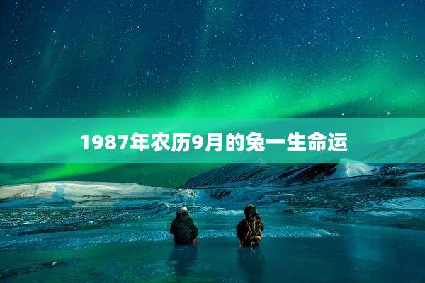 1987年农历9月的兔一生命运