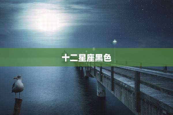 十二星座黑色