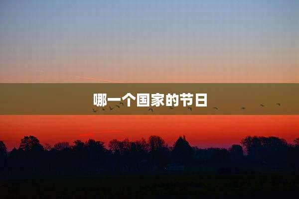 哪一个国家的节日