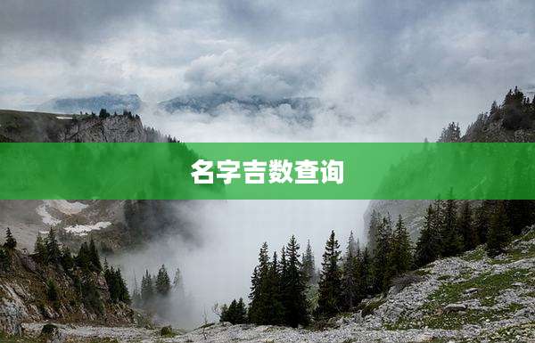 名字吉数查询