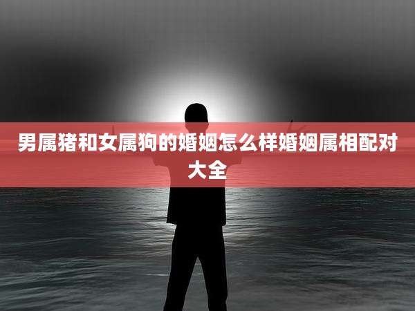 男属猪和女属狗的婚姻怎么样婚姻属相配对大全