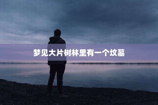 梦见大片树林里有一个坟墓