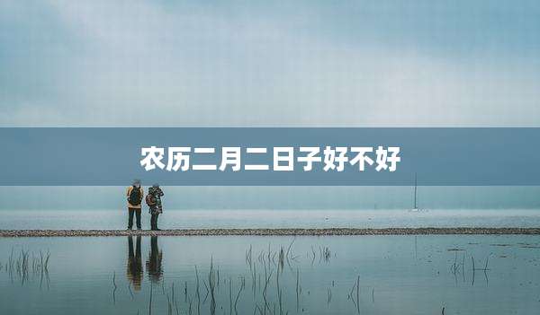 农历二月二日子好不好