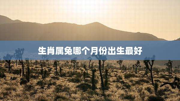 生肖属兔哪个月份出生最好
