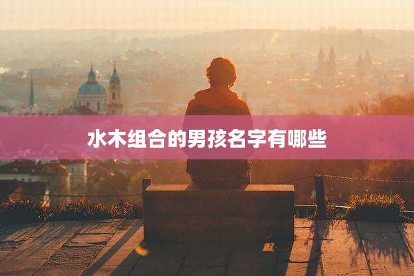 水木组合的男孩名字有哪些
