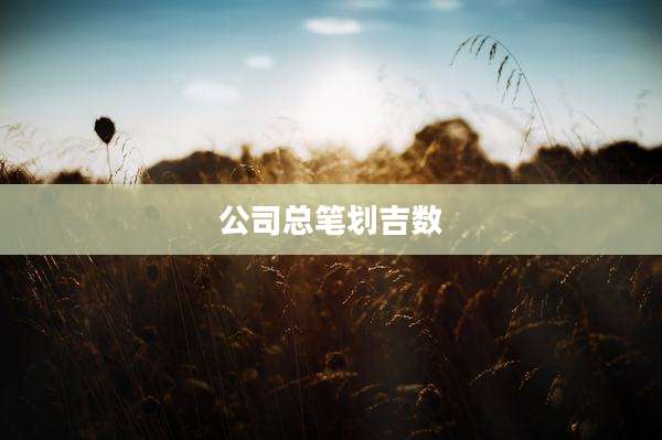 公司总笔划吉数