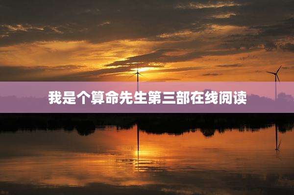 我是个算命先生第三部在线阅读
