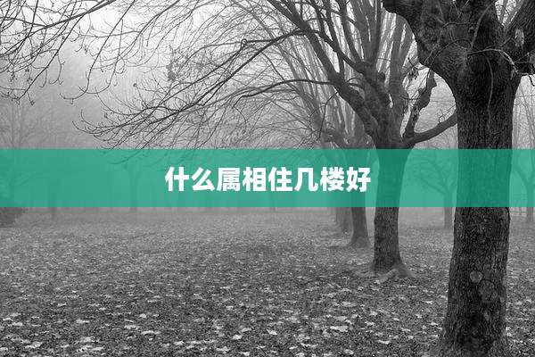 什么属相住几楼好