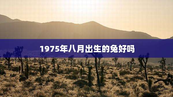 1975年八月出生的兔好吗