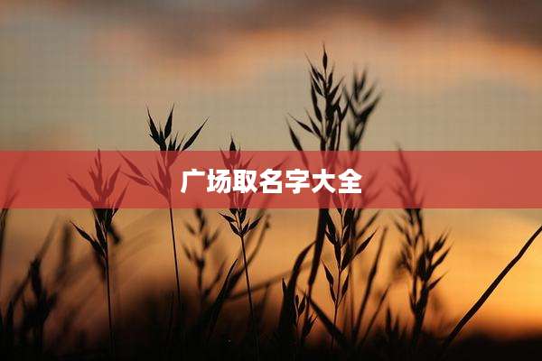广场取名字大全