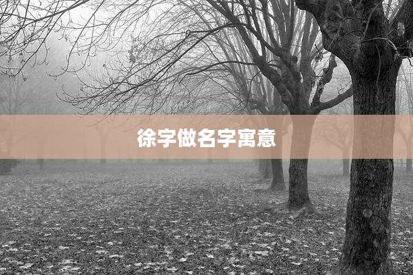 徐字做名字寓意