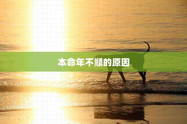 本命年不顺的原因