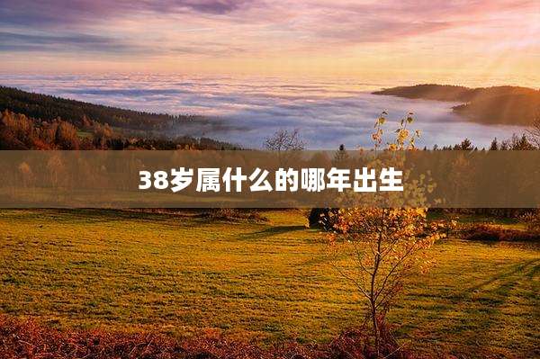 38岁属什么的哪年出生