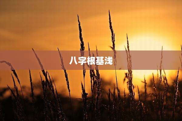 八字根基浅