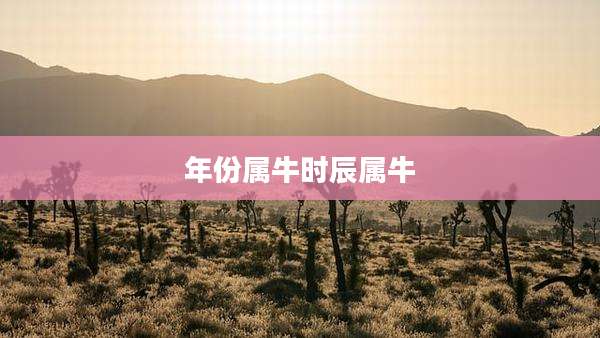 年份属牛时辰属牛