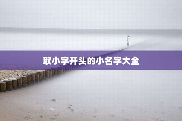 取小字开头的小名字大全