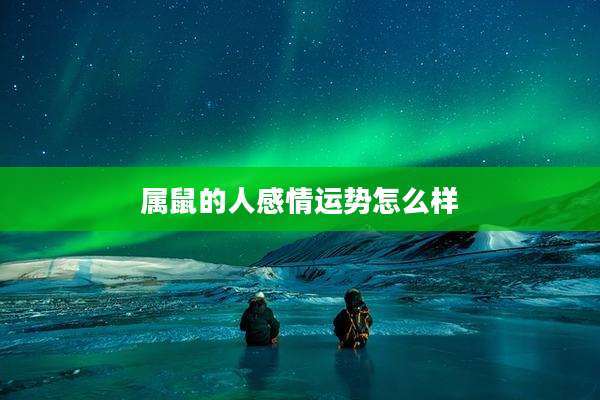 属鼠的人感情运势怎么样