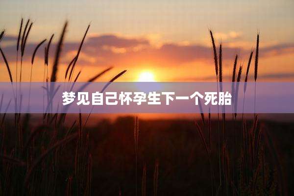 梦见自己怀孕生下一个死胎