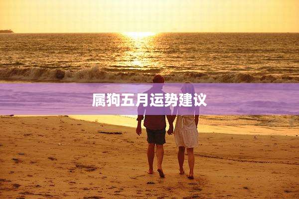 属狗五月运势建议