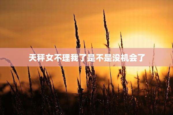 天秤女不理我了是不是没机会了