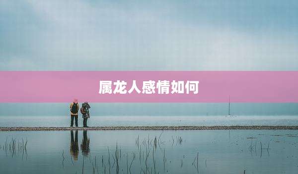 属龙人感情如何