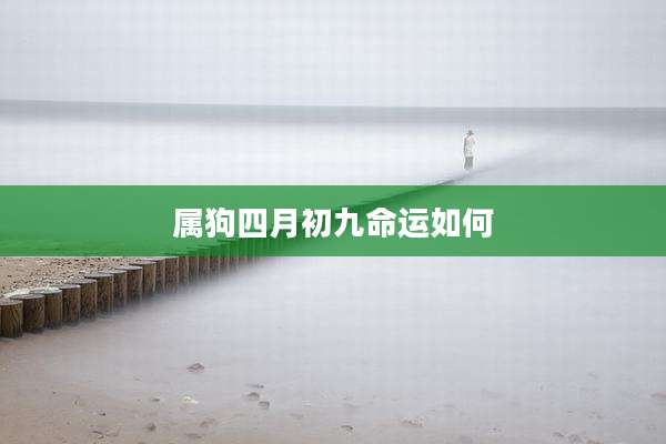 属狗四月初九命运如何