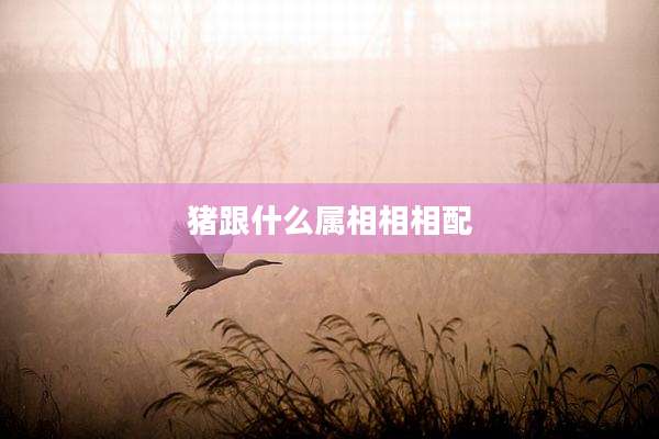 猪跟什么属相相相配