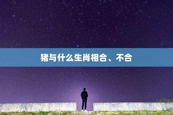 猪与什么生肖相合、不合