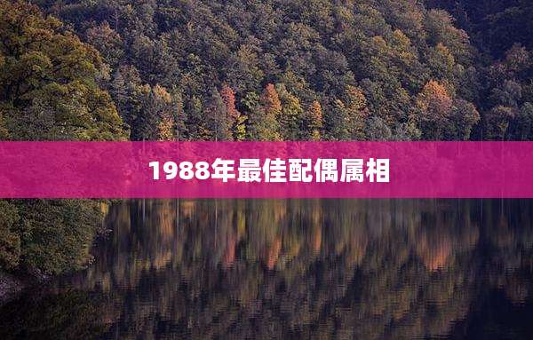 1988年最佳配偶属相