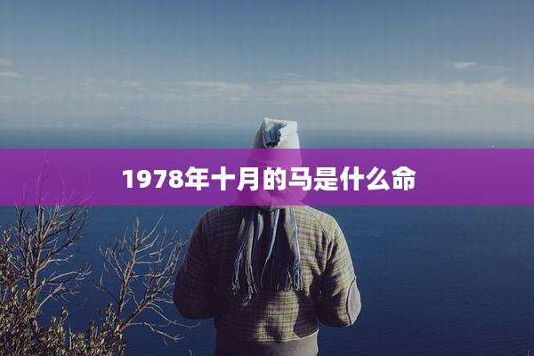 1978年十月的马是什么命