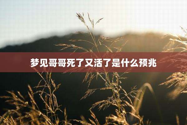 梦见哥哥死了又活了是什么预兆