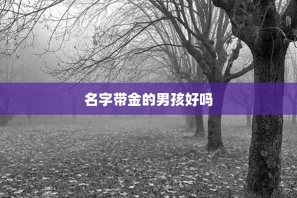 名字带金的男孩好吗