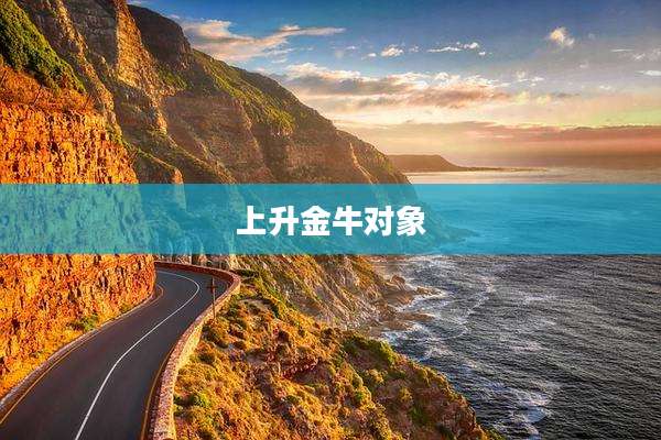 上升金牛对象