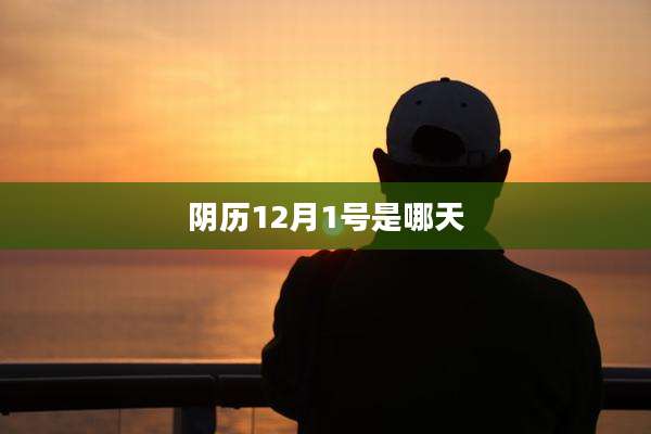 阴历12月1号是哪天