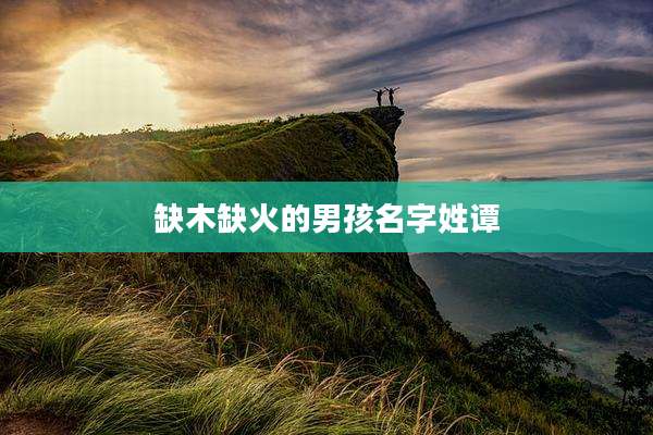 缺木缺火的男孩名字姓谭