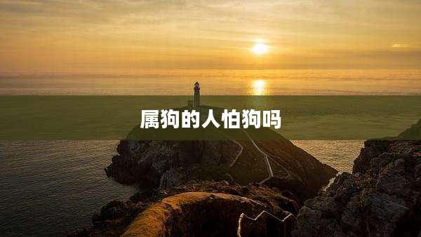 属狗的人怕狗吗