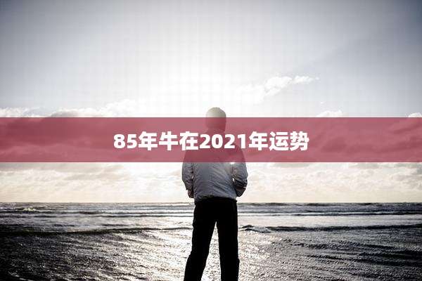 85年牛在2021年运势