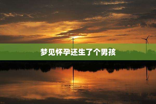 梦见怀孕还生了个男孩
