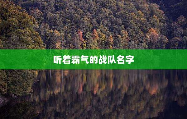 听着霸气的战队名字